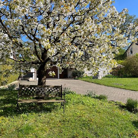 Ferienwohnung am Kirschbaum Uhldingen-Mühlhofen Exterior foto