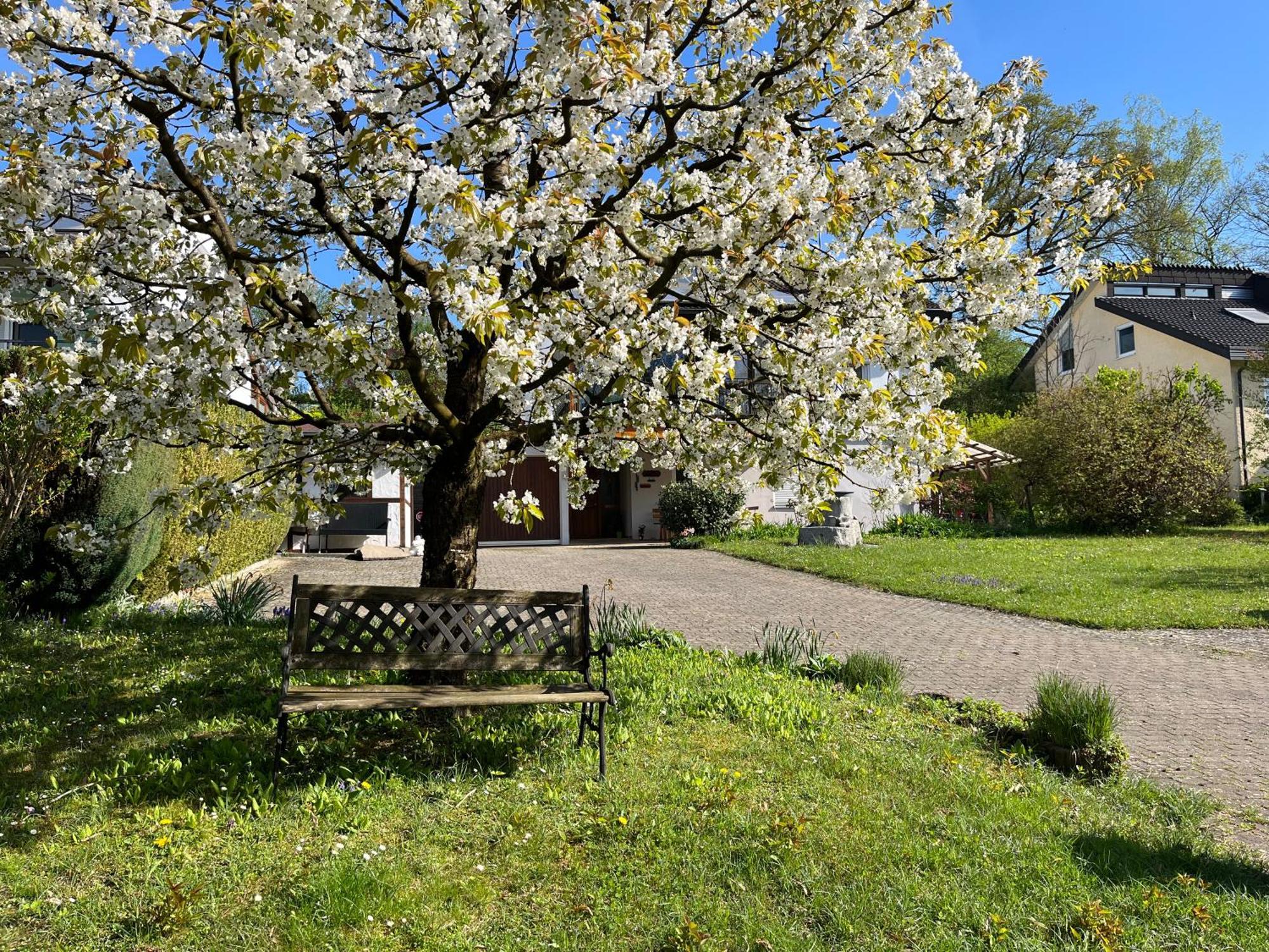 Ferienwohnung am Kirschbaum Uhldingen-Mühlhofen Exterior foto